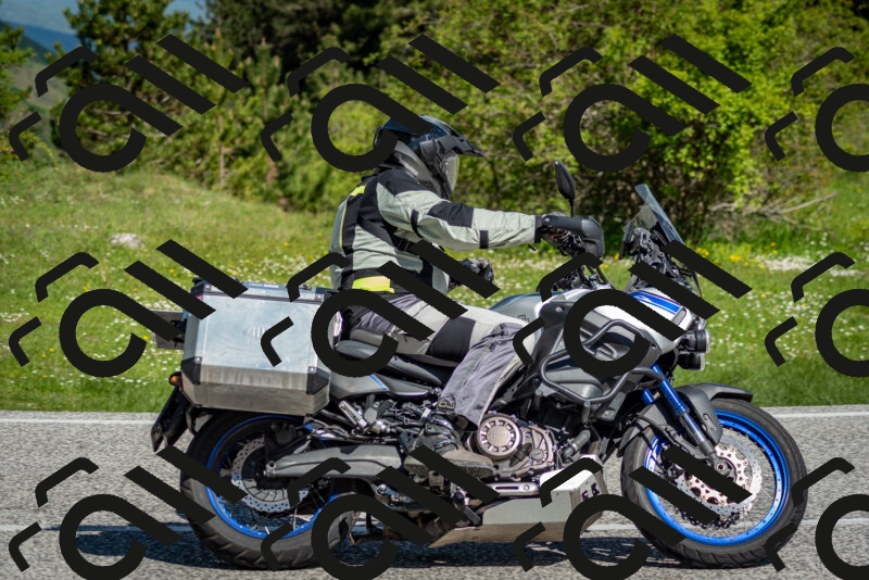 202505181023-DSC_7288_c2