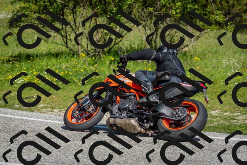 202505181024-DSC_7304_c2