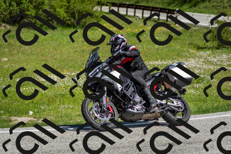 202505181025-DSC_7319_c2