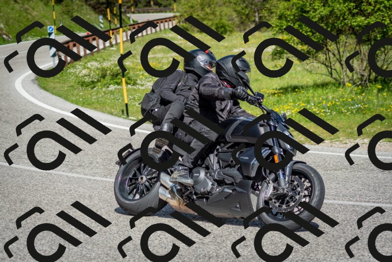 202505181027-DSC_7333_c2