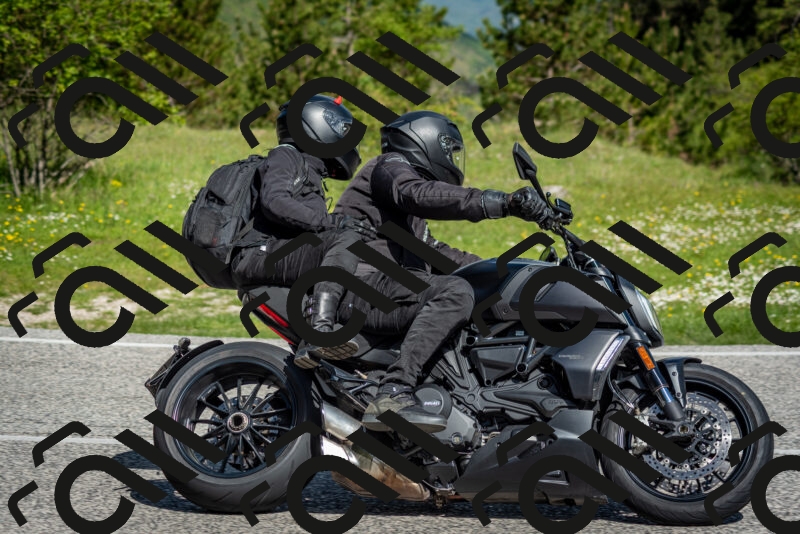 202505181027-DSC_7334_c2