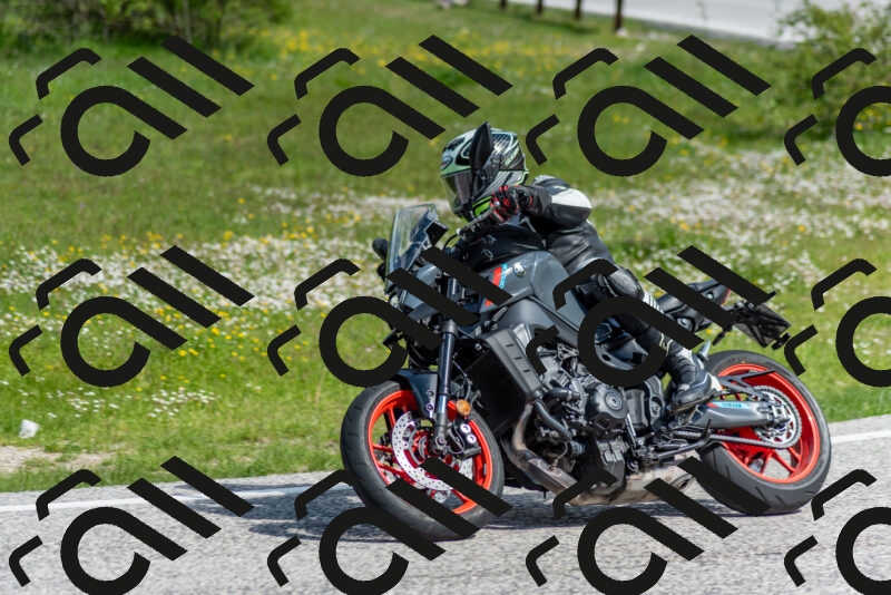 202505181032-DSC_7357_c2