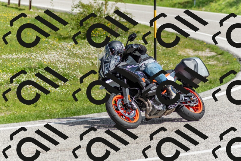 202505181035-DSC_7389_c2