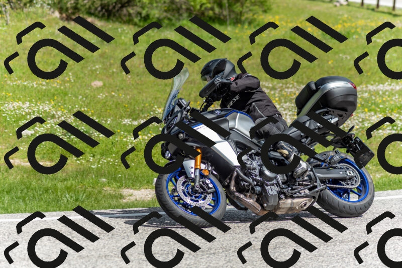 202505181035-DSC_7393_c2