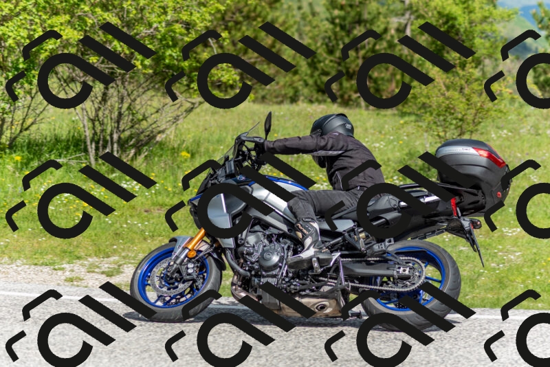 202505181035-DSC_7394_c2