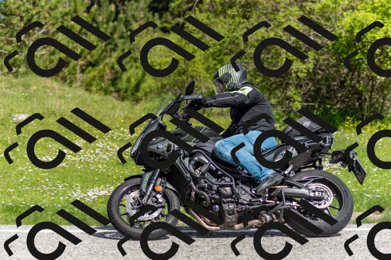 202505181036-DSC_7404_c2