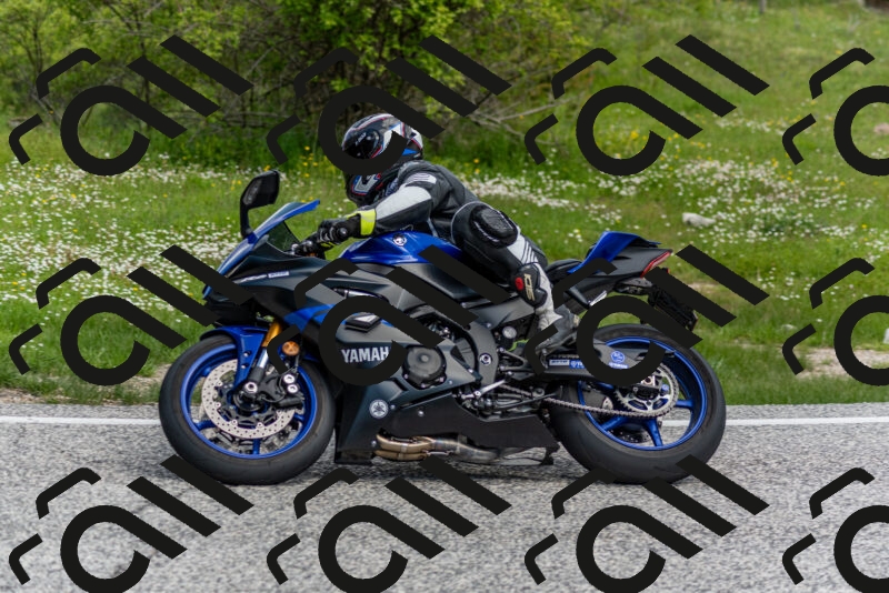 202505181037-DSC_7418_c2