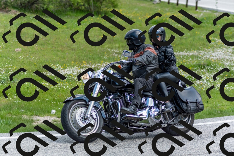 202505181038-DSC_7423_c2