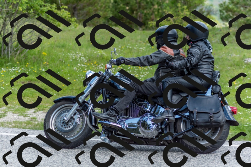 202505181038-DSC_7424_c2