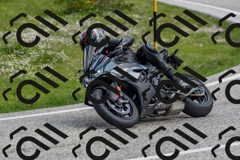 202505181039-DSC_7427_c2