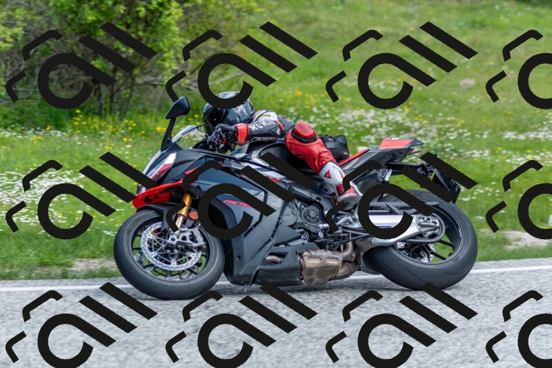 202505181039-DSC_7431_c2