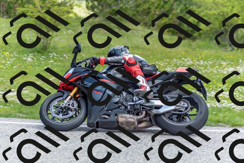 202505181039-DSC_7432_c2