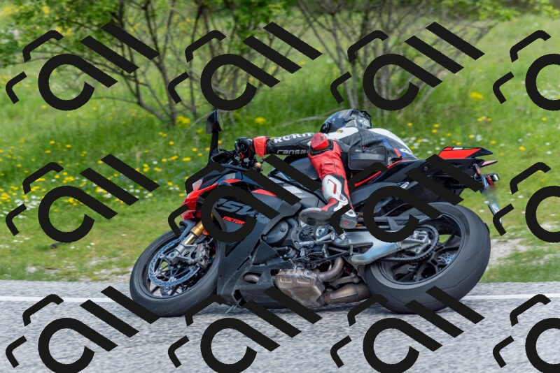 202505181039-DSC_7433_c2