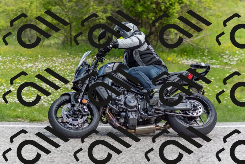 202505181039-DSC_7441_c2