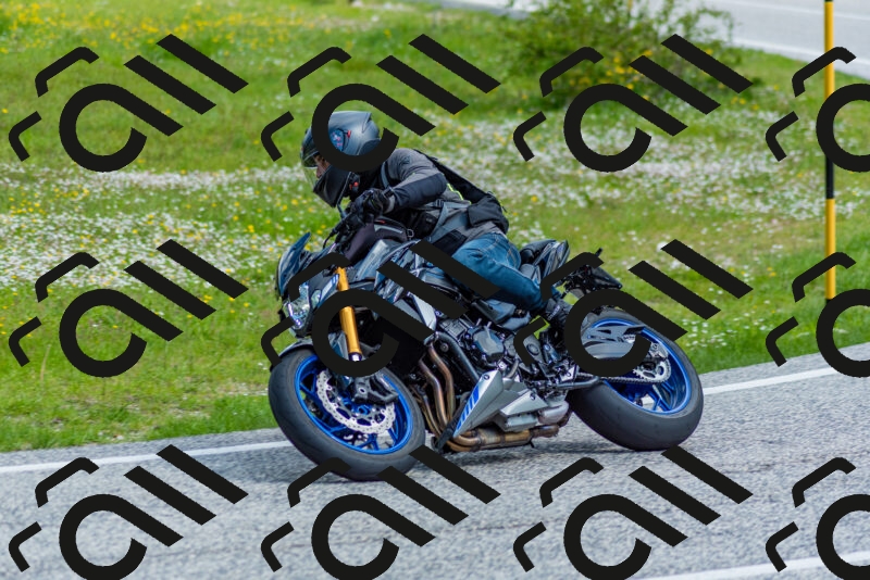 202505181039-DSC_7448_c2