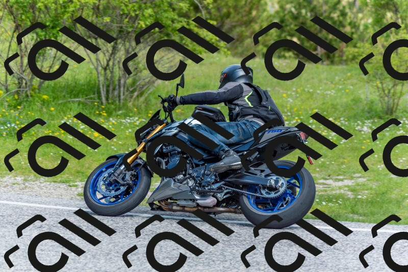 202505181039-DSC_7449_c2