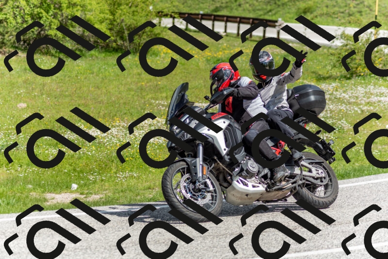 202505181040-DSC_7460_c2