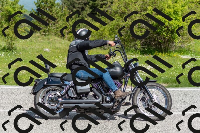 202505181040-DSC_7477_c2