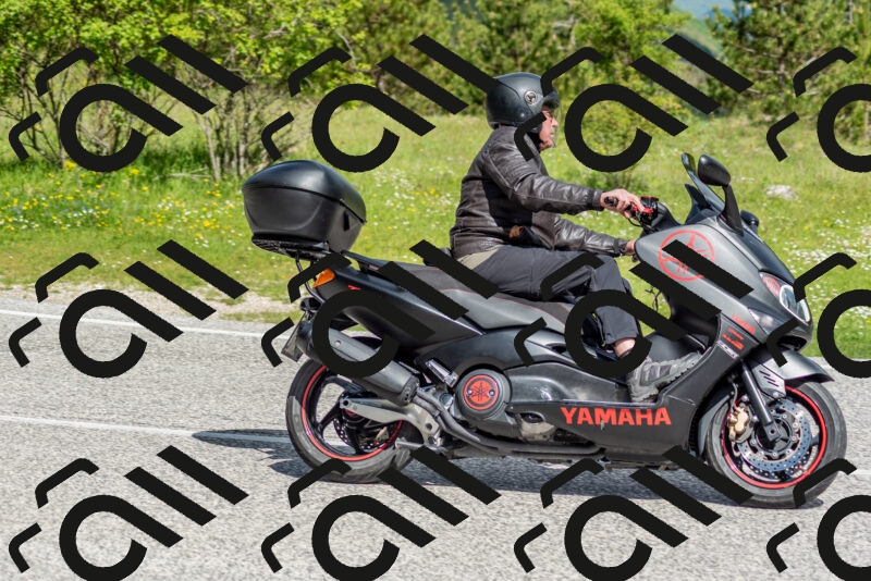 202505181040-DSC_7481_c2