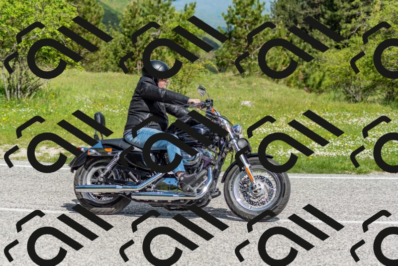 202505181040-DSC_7484_c2