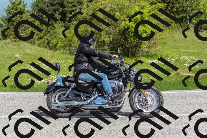 202505181040-DSC_7485_c2