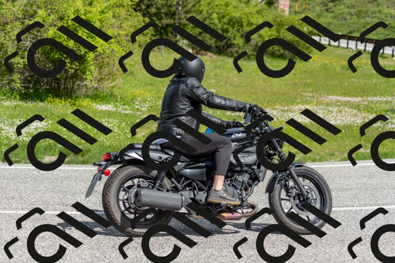 202505181040-DSC_7491_c2