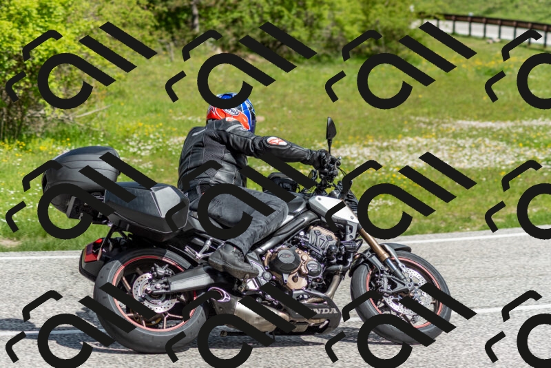 202505181041-DSC_7498_c2