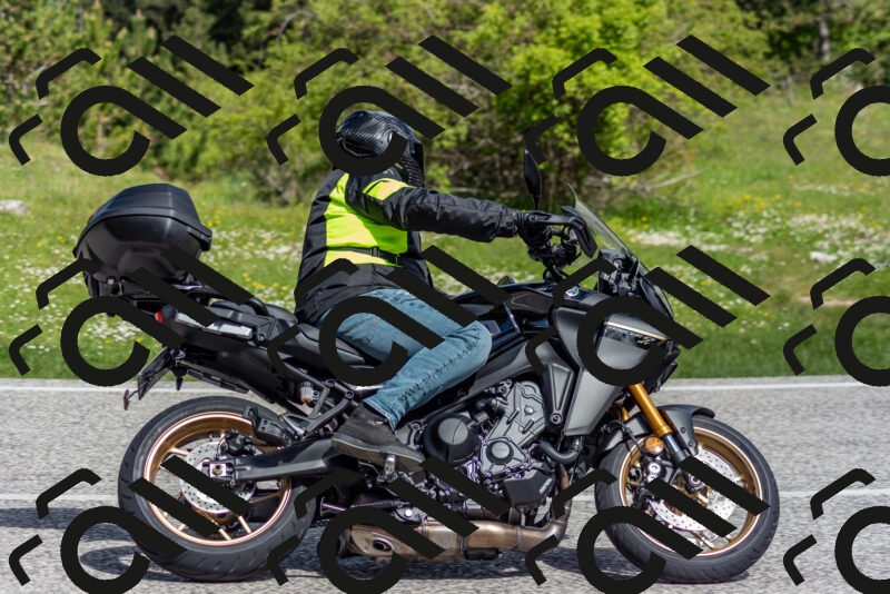 202505181044-DSC_7513_c2