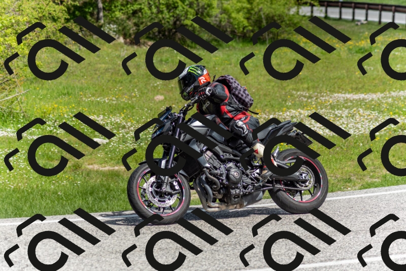 202505181044-DSC_7517_c2