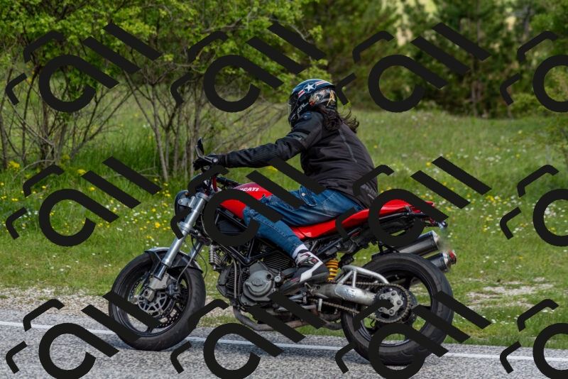 202505181046-DSC_7524_c2