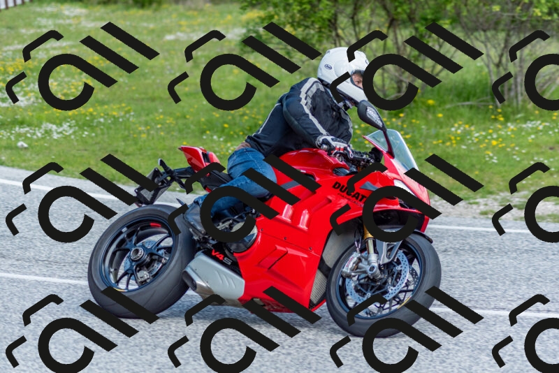 202505181046-DSC_7533_c2