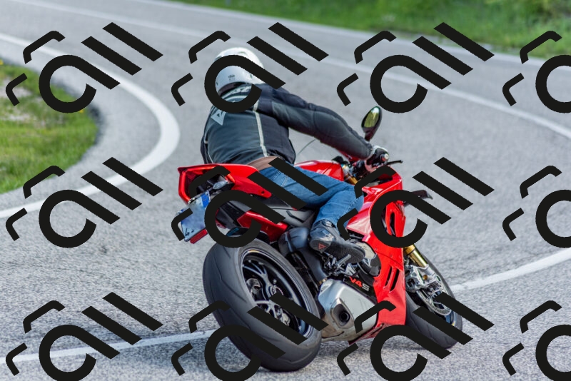 202505181046-DSC_7535_c2