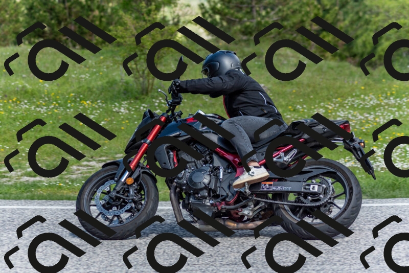 202505181047-DSC_7541_c2