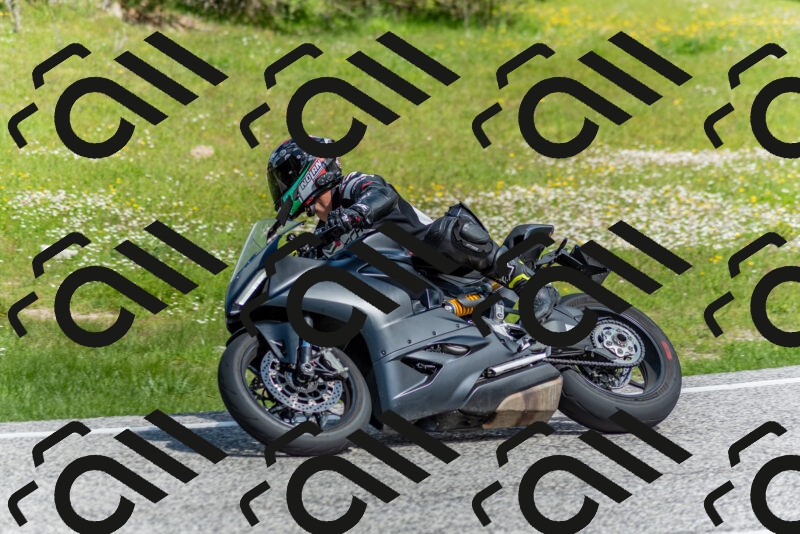 202505181047-DSC_7551_c2