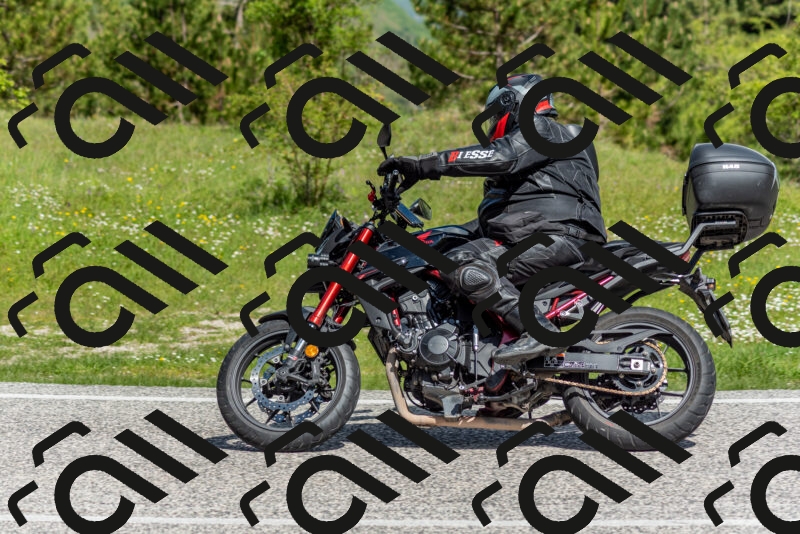 202505181049-DSC_7630_c2