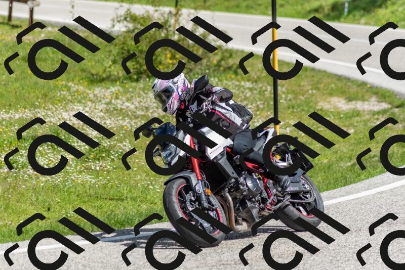 202505181050-DSC_7632_c2