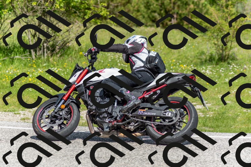 202505181050-DSC_7634_c2