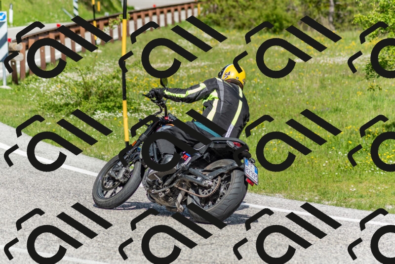 202505181050-DSC_7637_c2