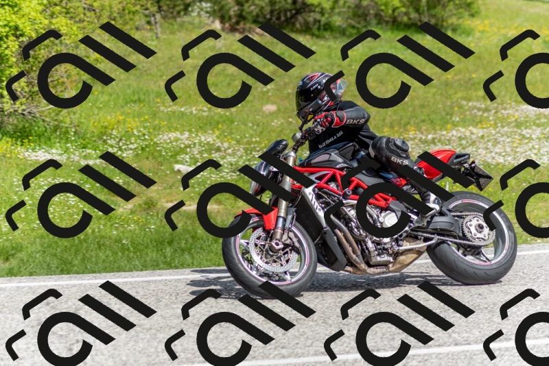 202505181051-DSC_7649_c2