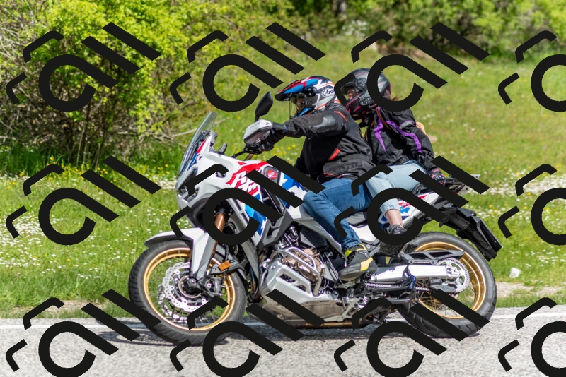 202505181051-DSC_7654_c2