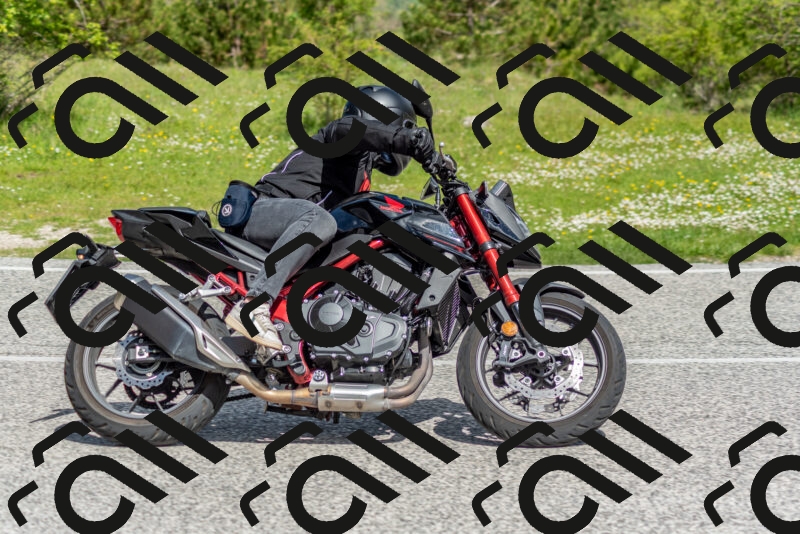 202505181051-DSC_7658_c2