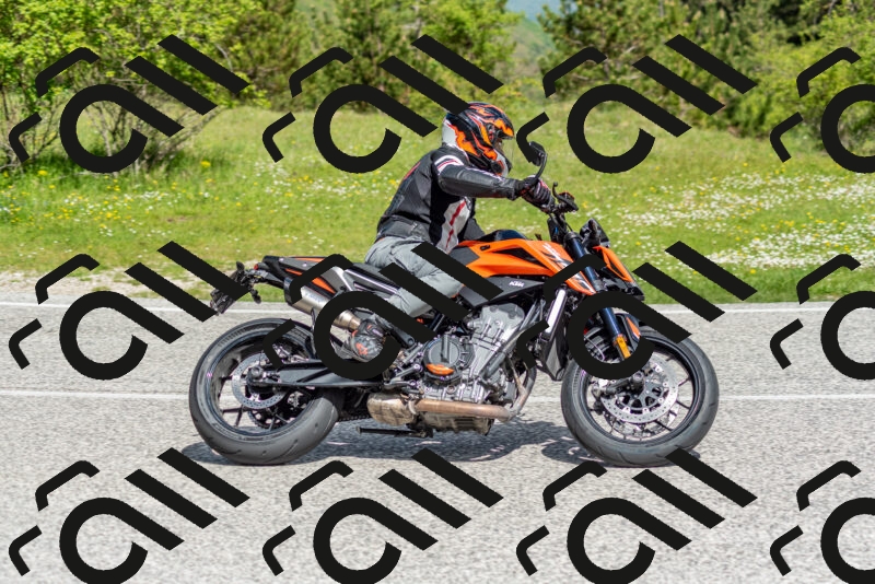 202505181051-DSC_7661_c2