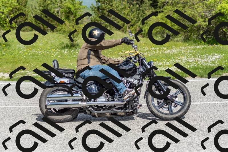 202505181051-DSC_7664_c2