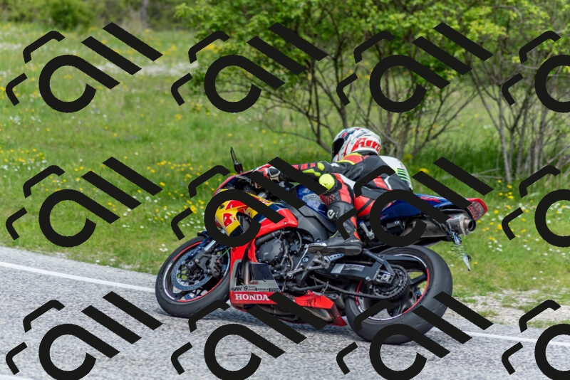 202505181052-DSC_7681_c2