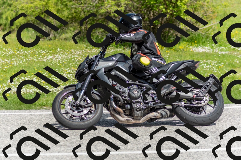 202505181053-DSC_7684_c2