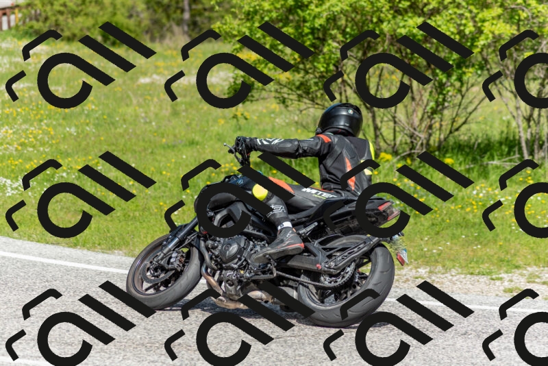 202505181053-DSC_7685_c2