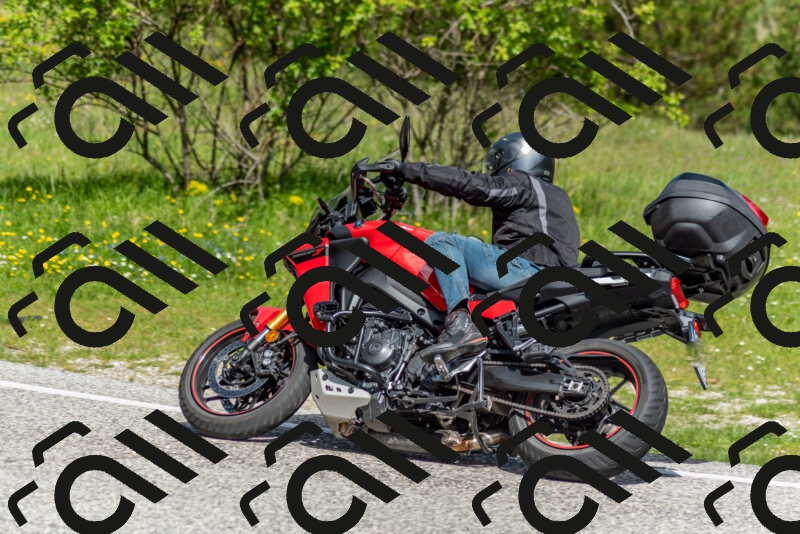 202505181053-DSC_7695_c2