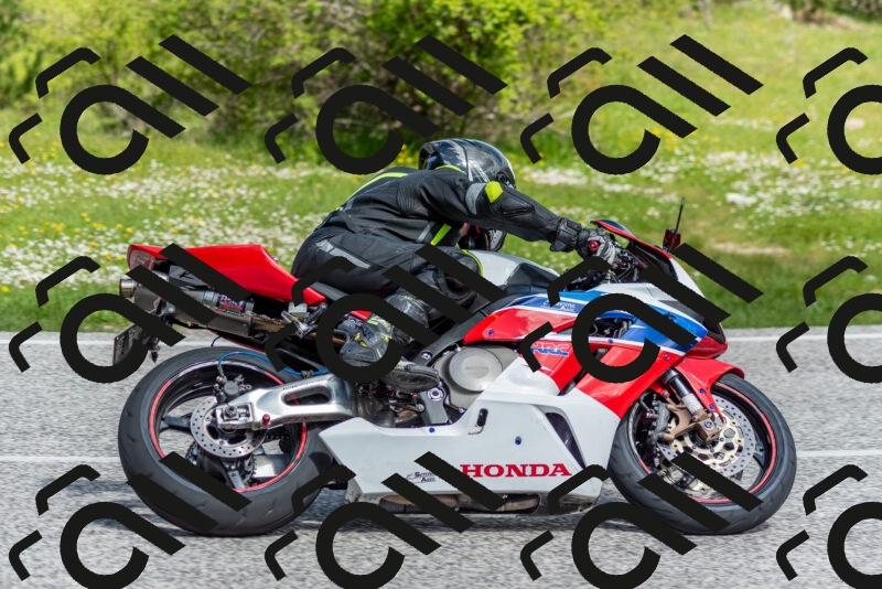 202505181054-DSC_7716_c2