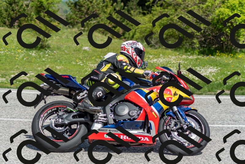 202505181055-DSC_7728_c2