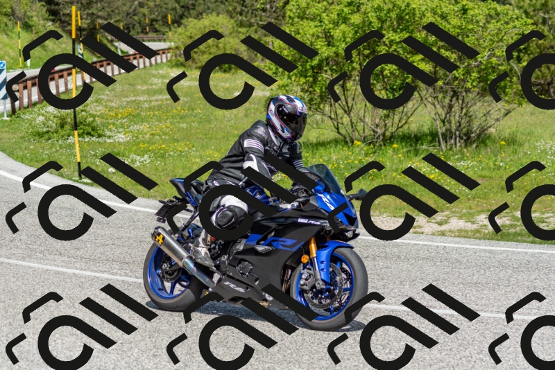 202505181055-DSC_7730_c2